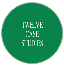 Twelve Case Studies