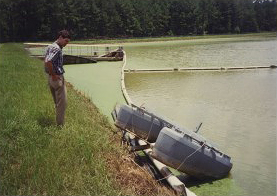 Photograph of Contractor Accessing Flood Damage at Wastewater Treatment Pond, Byron, Peach County, Georgia, 1994 July 8, Peach Public Libraries.